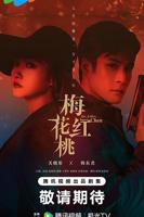 《梅花红桃》在线观看免费高清电视剧